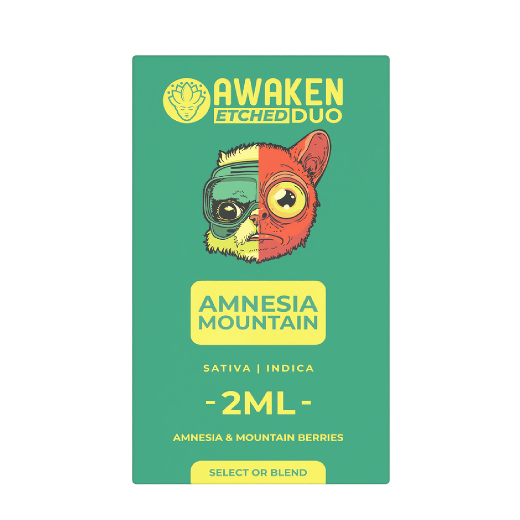 Amnesia Mountain2.png