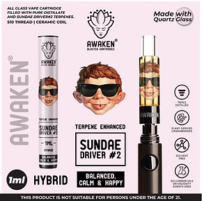 Awaken® Vape Blaster Cartridges 1ml - Sundae Driver #2 (Hybrid)